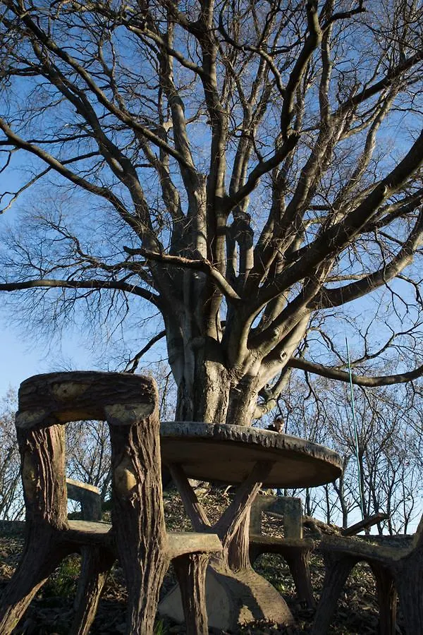 Al Bagolaro Bed & Breakfast Crocetta del Montello
