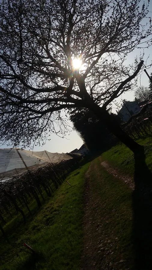 Al Bagolaro Bed & Breakfast Crocetta del Montello Italy